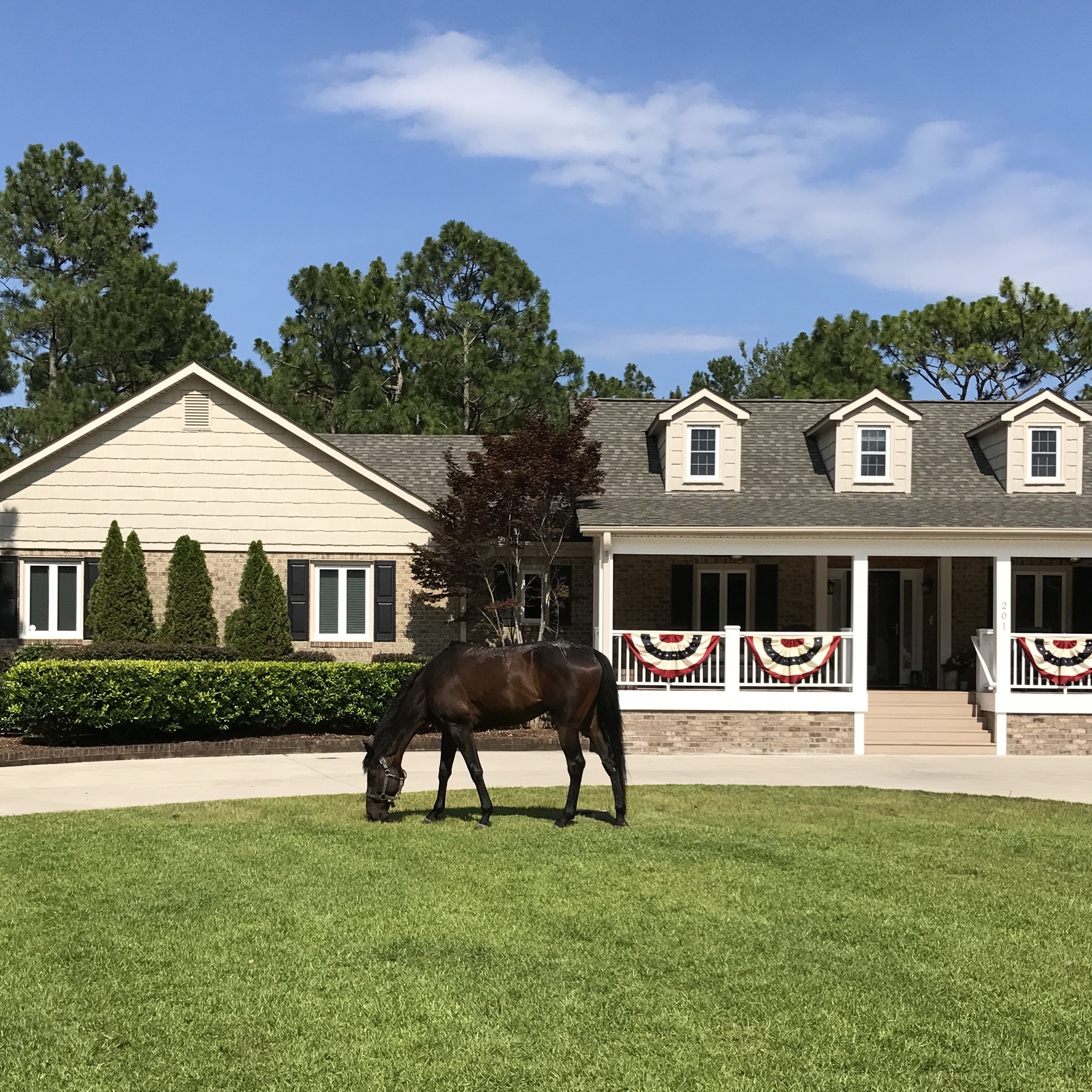 Farmhouse with red, white and blue bunting on the front porch railings and a horse in the front yard.