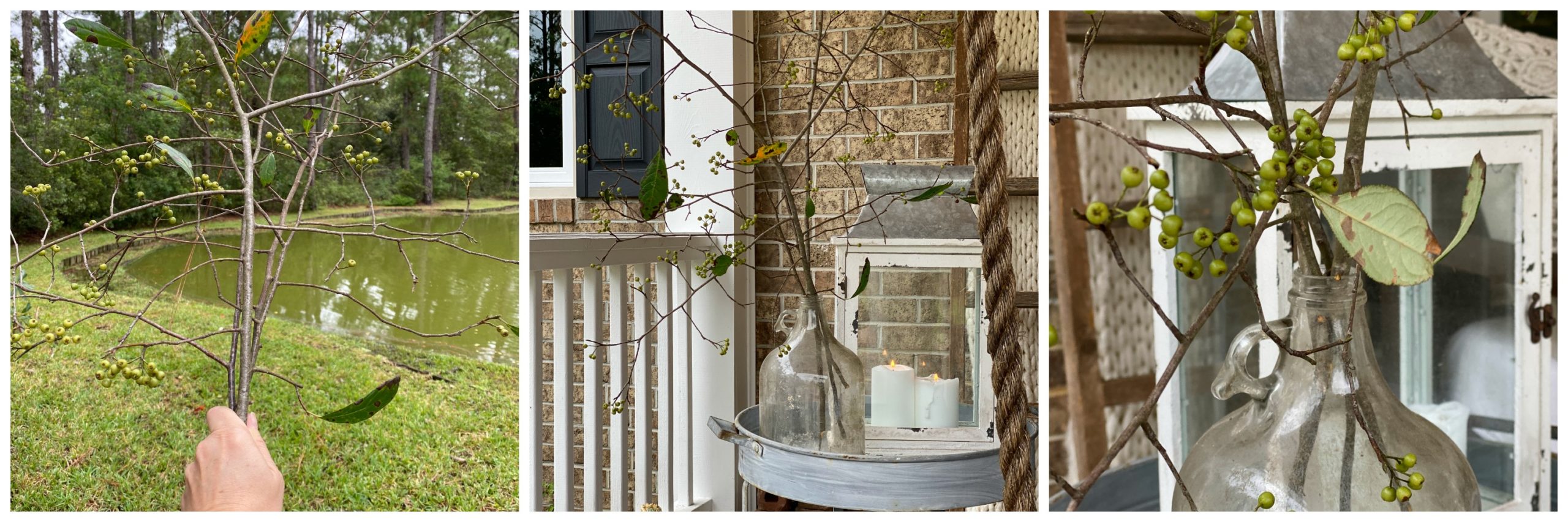 A collage of three photos. The first photo is a hand holding Fall branches in front of a pond. The second photo is the branches arranged in a glass jug on a metal table with a white lantern. The third photo is a close up of the branches in a glass jug.