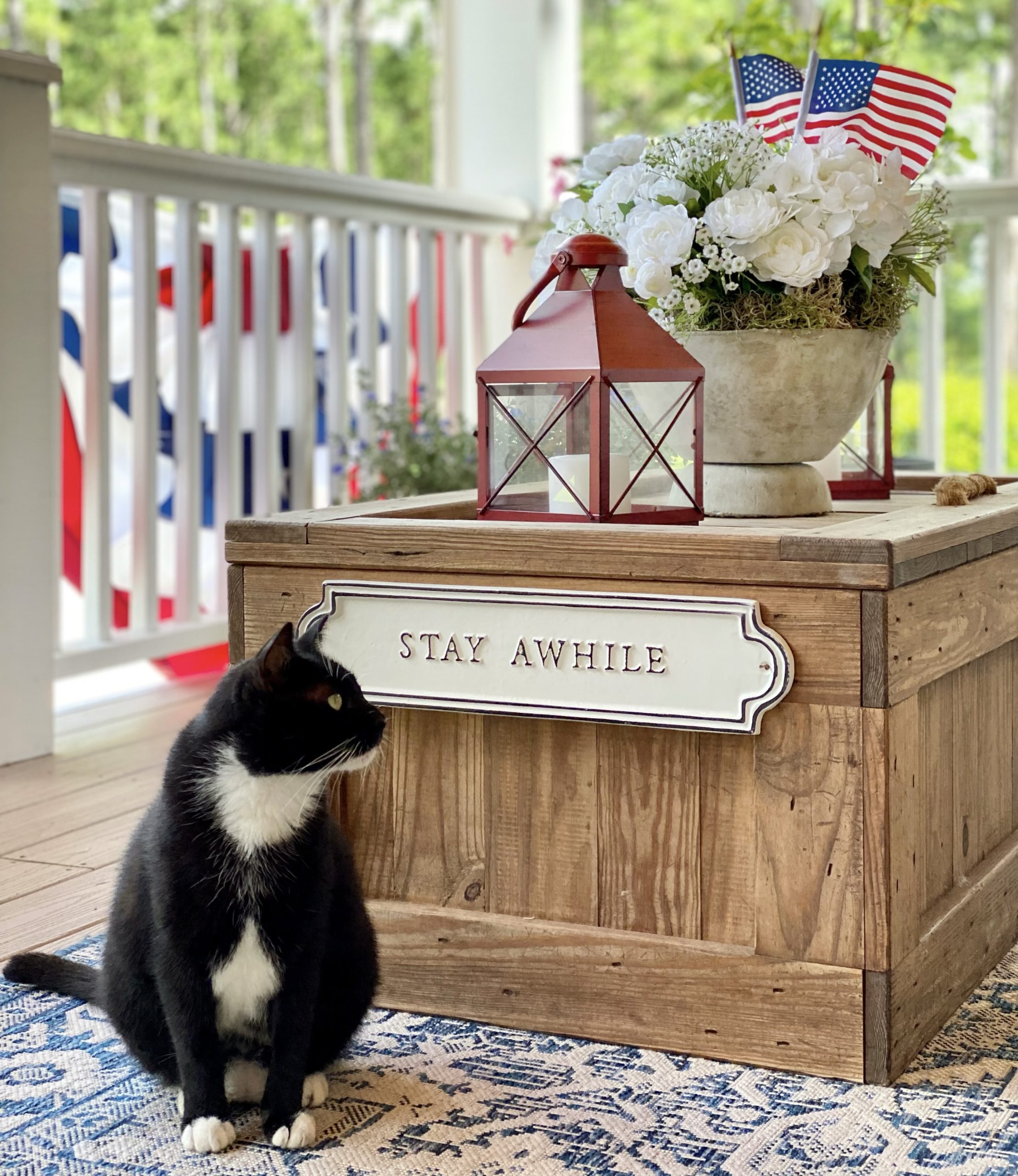 A black and white cat sitting in front of the coffee table decorated with touches of red, white, and blue on the front porch.