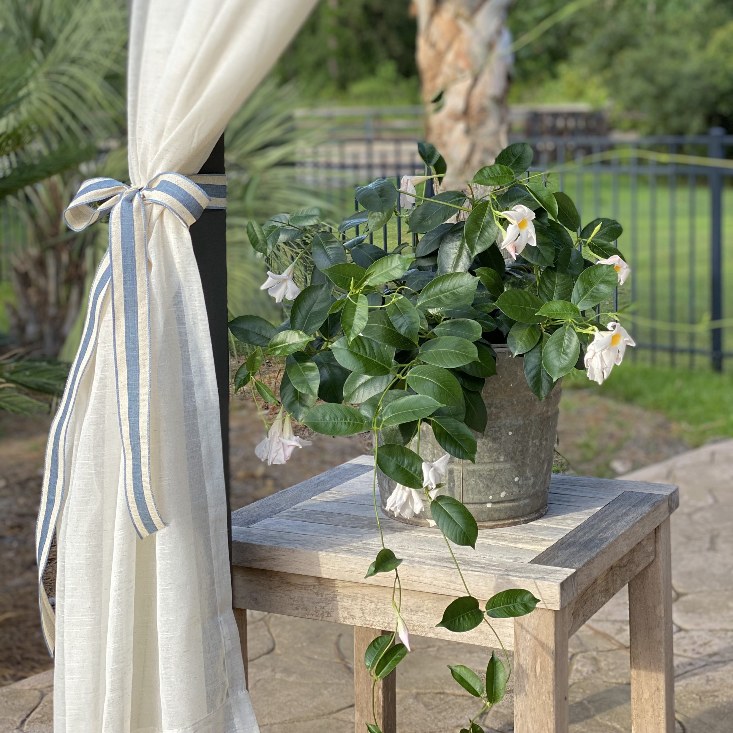 Outdoor curtain tied back with blue and white ribbon next to a table with a plant on it.