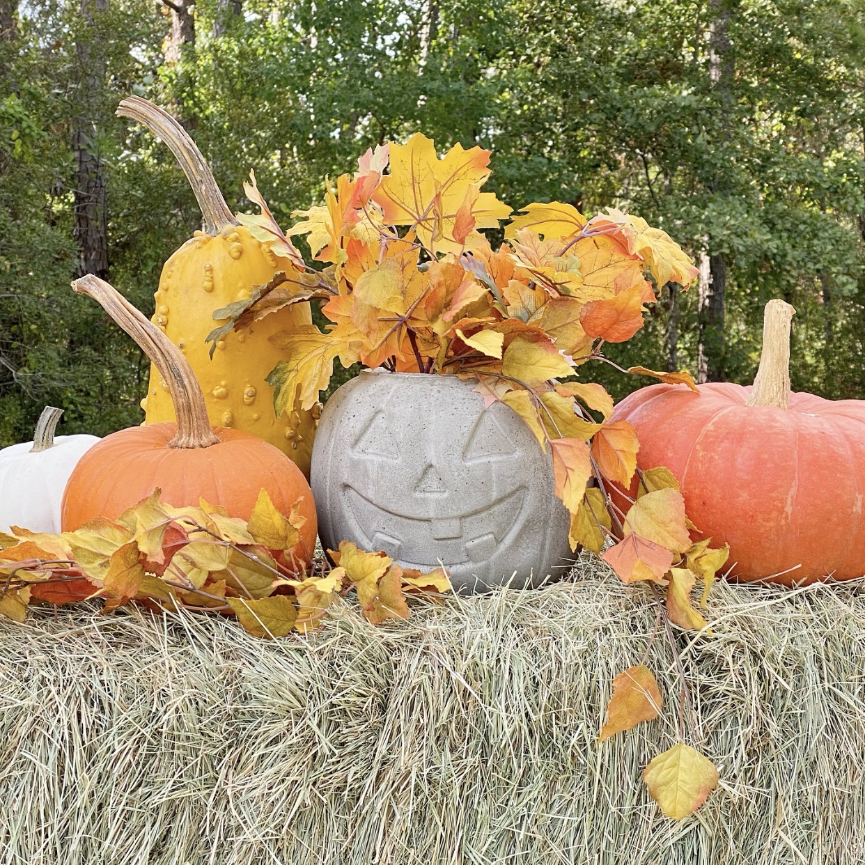 Concrete jack o'lantern on a bale of hay with pumpkins and fall leaves in and around it.