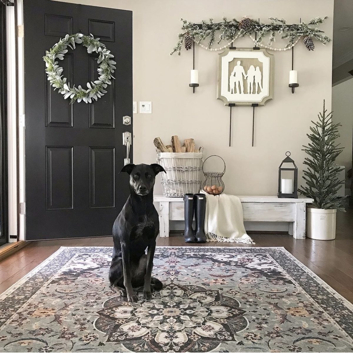 Foyer with front door open, a washable rug on the floor, and a dog sitting on it.