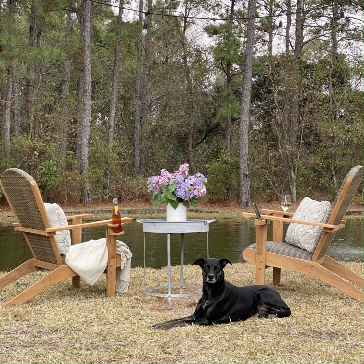 Adirondack chairs set by the pond with a black dog in the foreground.