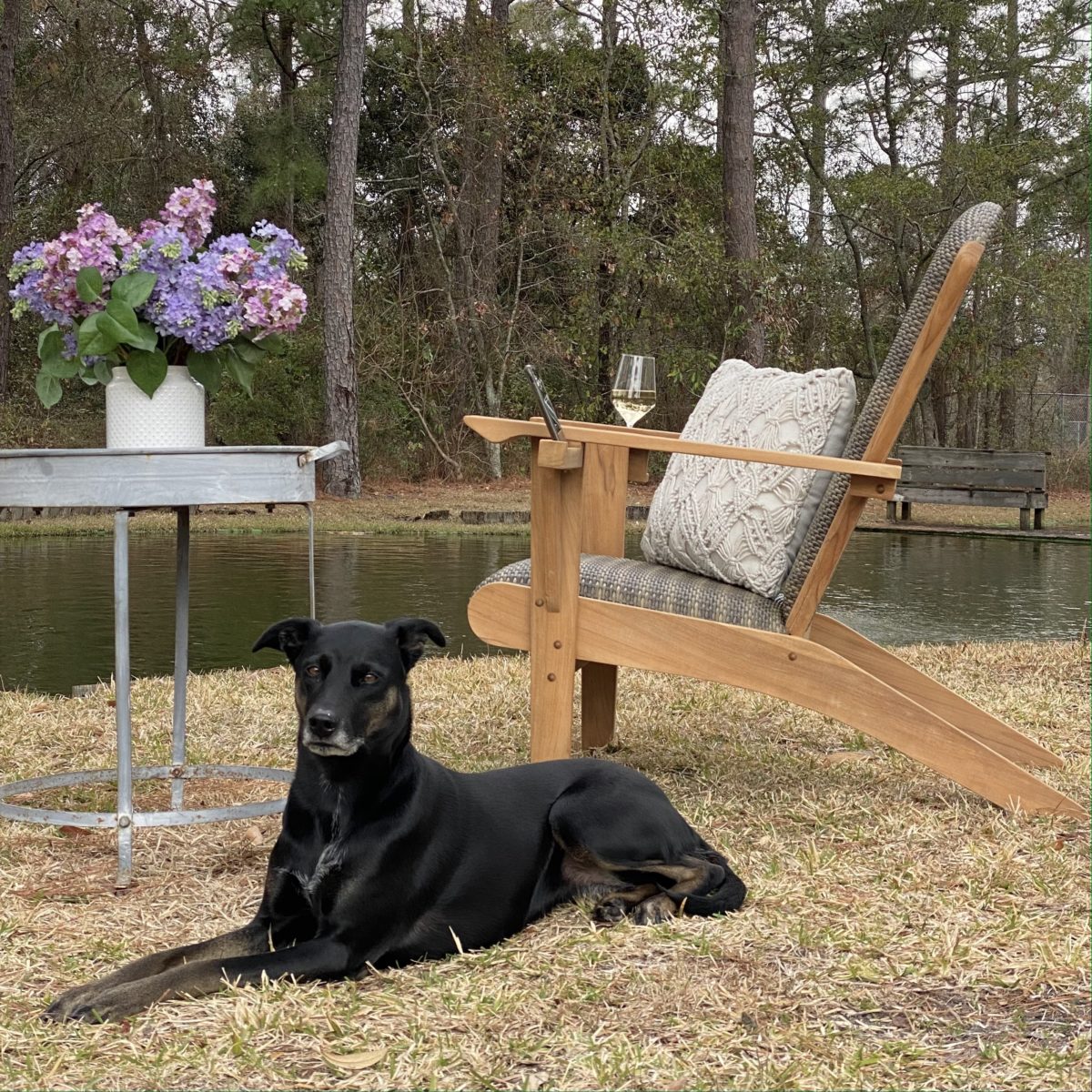 Teak Adirondack chair in front of the pond with a black dog in front of it and a table with purple flowers on it.