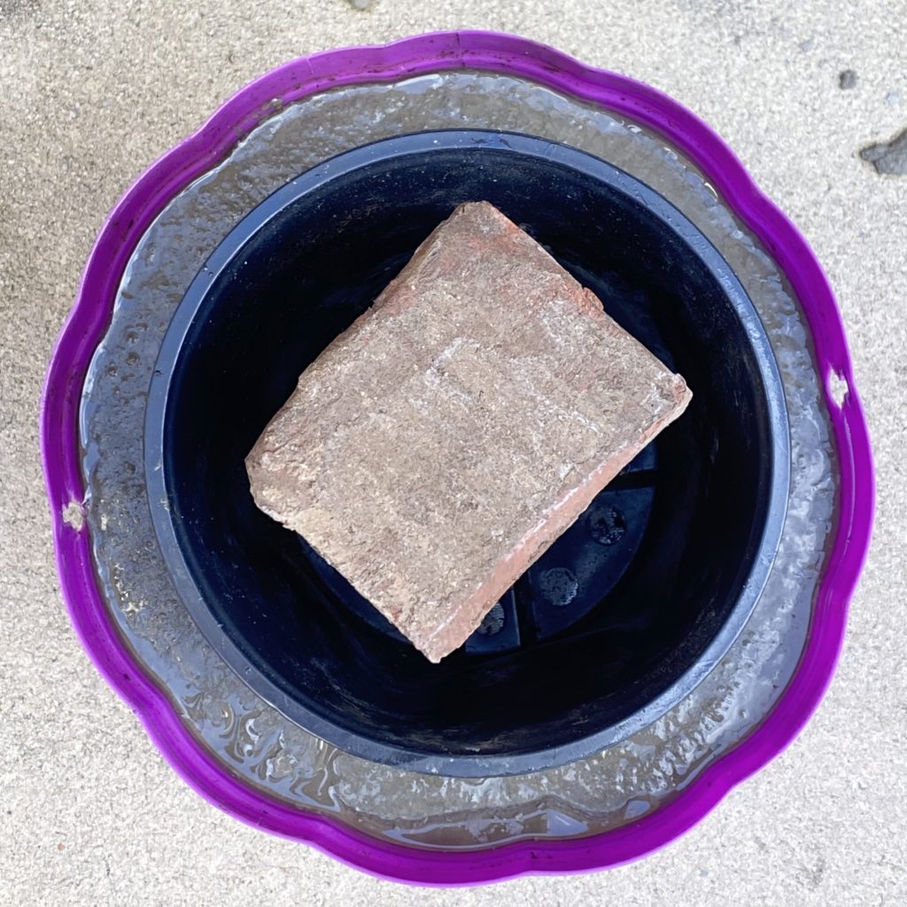 Top view of Jack O’Lantern bucket filled with concrete and smaller container inside. Inside the container is a brick holding it down in the concrete.