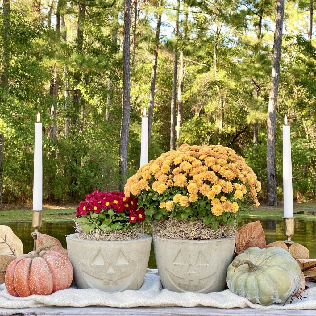 Concrete Jack O’Lantern planters o nthe picnic table with mums in them and flowers and pumpkins around them.