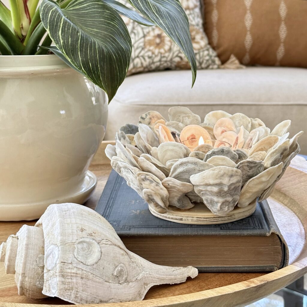 An oyster shel candle holder styled in a wood tray with a book, a conch shell and a green potted plant.