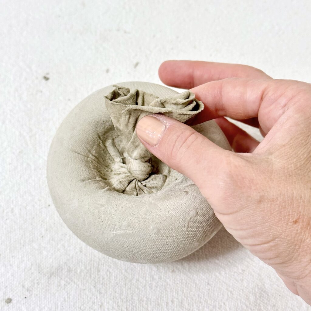 A photo showing what the cap of the mushroom should look like with the underside being concave and the knot being in the middle.
