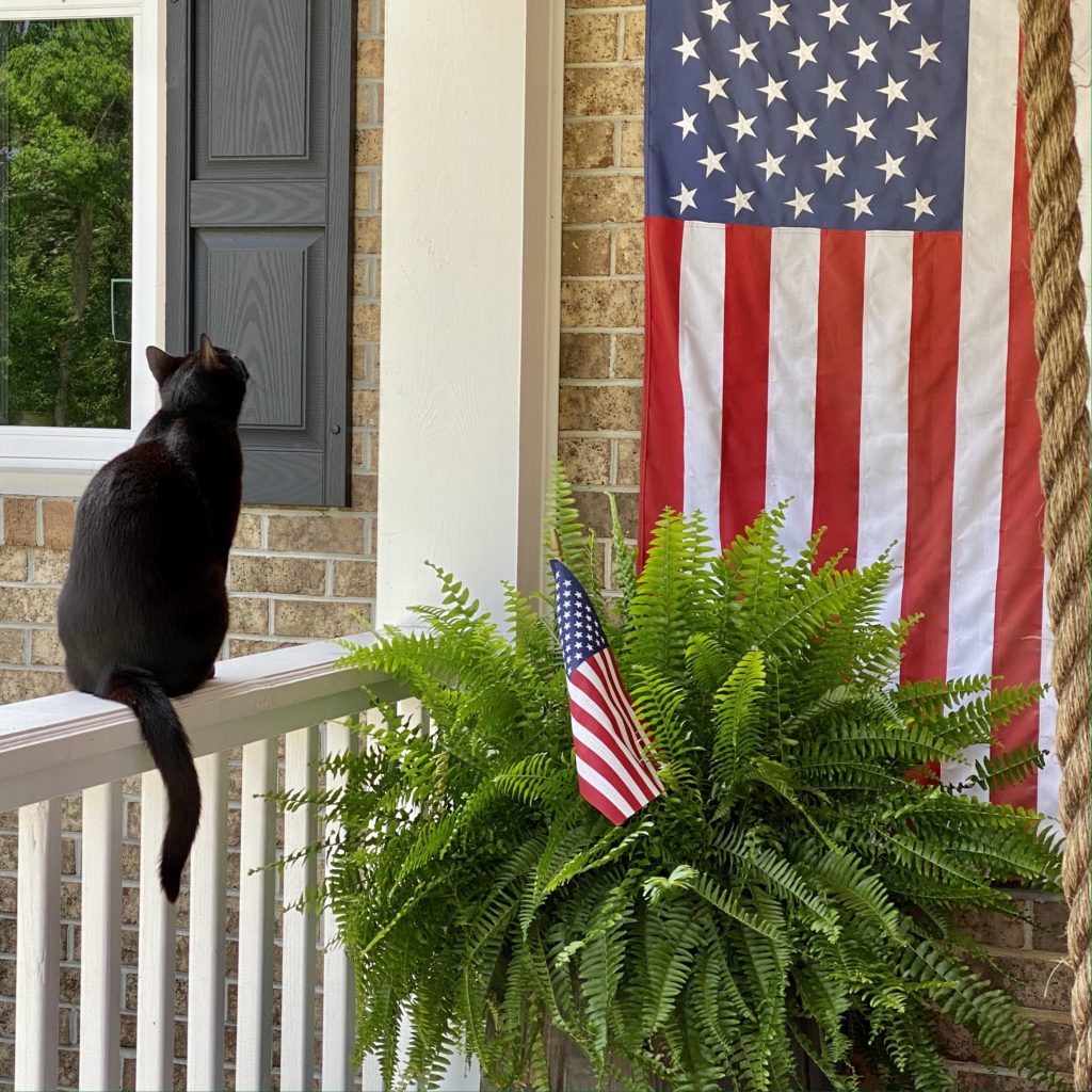 Patriotic Touches to the Front Porch - Cali Girl In A Southern World